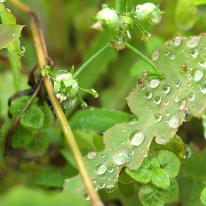 ABDULLAH ALMARRI_Abdullah AL Marri