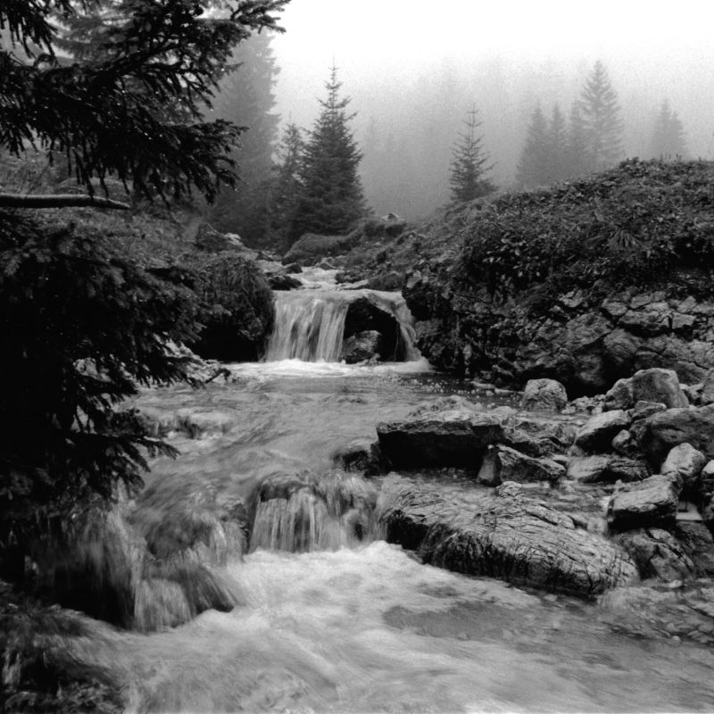 Foto_2023-01-03_123650_Ursula Lohmann