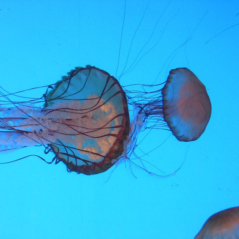 IMG_0428_Rainer Haug