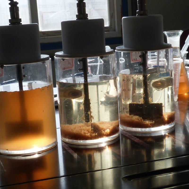 P1010467_Rainer Haug